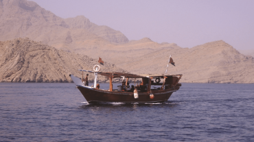 Muscat Dolphin Cruise With Shared Transfers