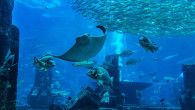 Oman Aquarium