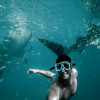 Private group Boating Experience with Dolphins Watching & Snorkeling