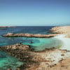 Private group tour of Daymaniyat Islands